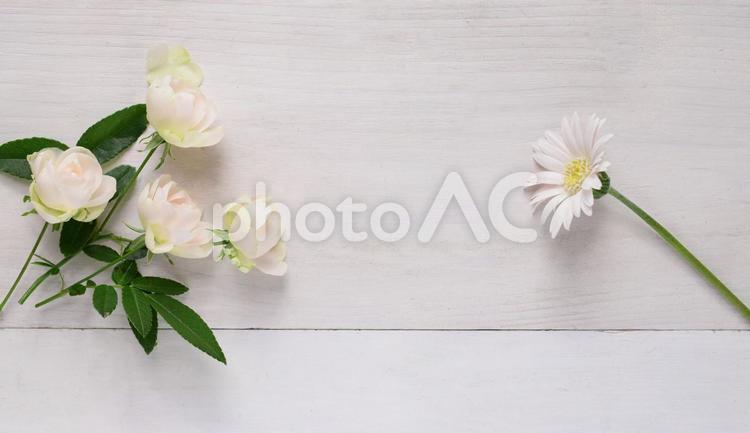 白い薔薇とガーベラ ばら,ガーベラ,白の写真素材