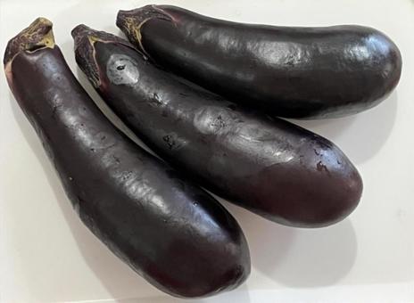 なす 3本 なす 3本 野菜,なす,ベジタブルの写真素材