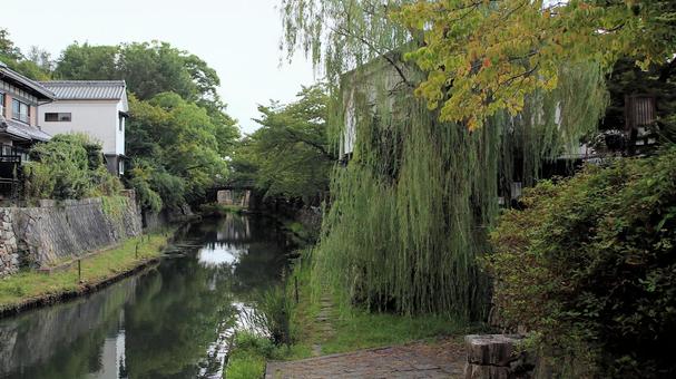 近江八幡市　初秋の八幡堀散策 八幡堀,初秋,近江八幡市の写真素材