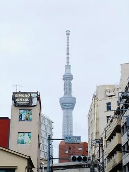 スカイツリー スカイツリー 塔,タワー,華やかの写真素材