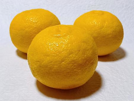柚子 柚子,果物,ミカン科の写真素材