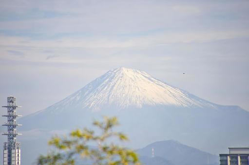 富士山 富士山の写真
