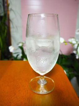 レモンサワー レモンサワー,飲み物,グラスの写真素材
