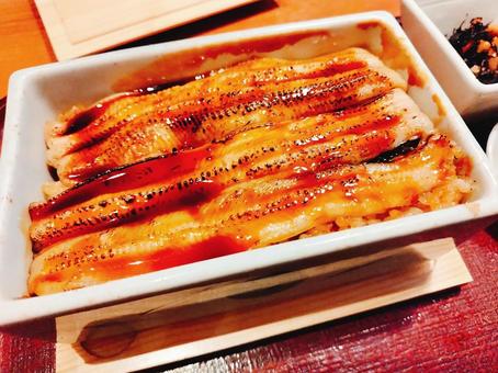 あなご丼 穴子,魚,海鮮の写真素材