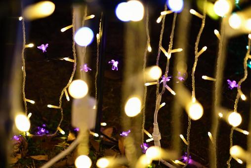 イルミネーションの写真