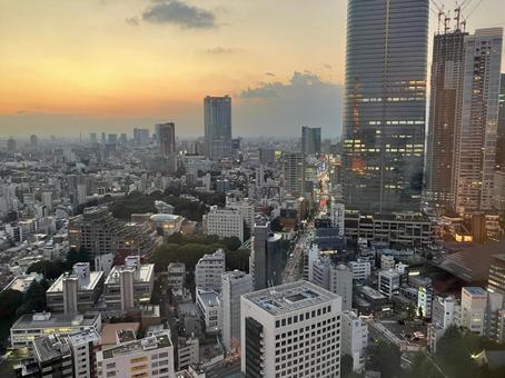 東京タワー 東京タワー 東京タワー,電波塔,展望台の写真素材