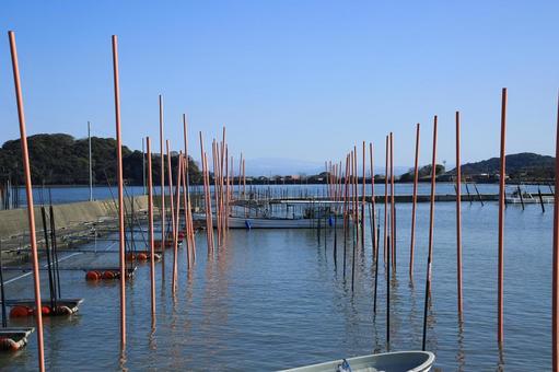 熊本県宇土市 海苔の養殖風景 熊本県宇土市 海苔の養殖風景 養殖,海苔,海藻の写真素材