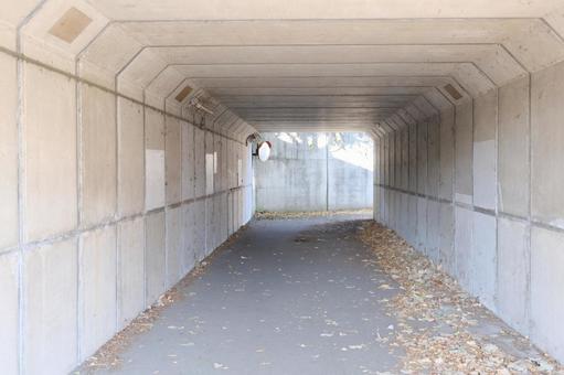 地下道 地下道,歩道,道路下の写真素材