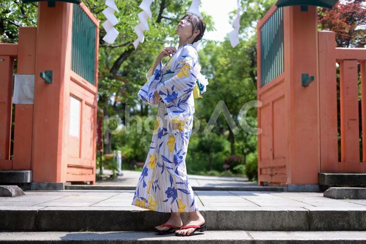 鳥居の前で浴衣を着た女性 浴衣,夏,夏の風物詩の写真素材