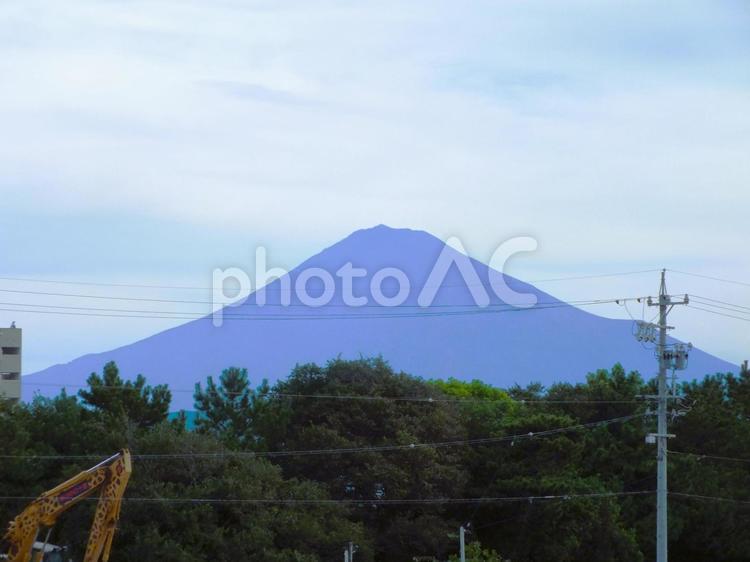 9月の富士山　青くそびえる雄姿 富士山,高い木,棕櫚の写真素材