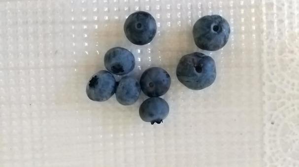 Home-picked blueberries, JPG Home-picked blueberries, JPG