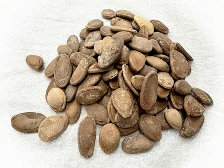 生薬・栝楼仁 壱 生薬・栝楼仁 壱 栝楼仁,カロニン,種子の写真素材