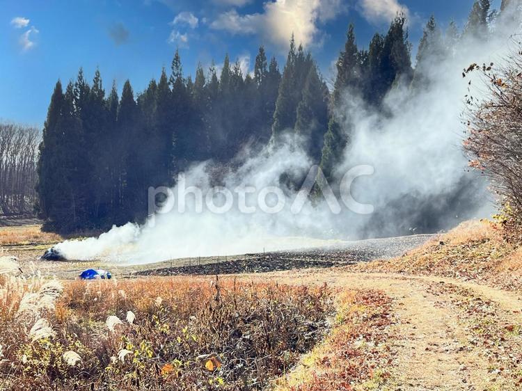 畑から上がる煙の風景 煙,畑,自然の写真素材