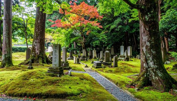墓地・霊園・お墓 墓地・霊園・お墓の写真