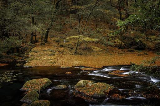 熊本-【菊池渓谷の紅葉】 熊本-【菊池渓谷の紅葉】 熊本,菊池渓谷,川の写真素材