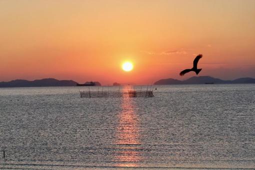 夕日に向かって飛ぶ鳥 夕日に向かって飛ぶ鳥 風景,海,空の写真素材