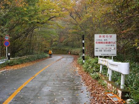 赤城山　黒檜山　登山口 赤城山,群馬県,前橋市の写真素材