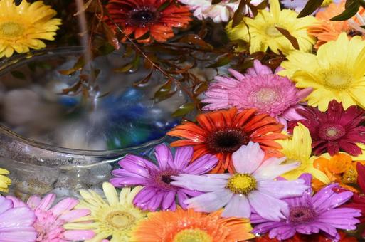 花手水 花手水の写真