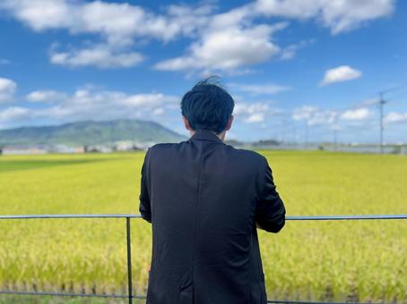 田んぼを眺める男性 秋 田んぼを眺める男性 秋 田んぼを眺める男性,たんぼ,眺めるの写真素材