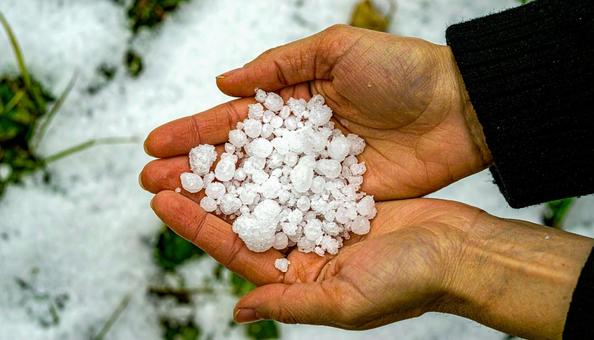 降ってきた大きな雹を手に取る 降ってきた大きな雹を手に取るの写真