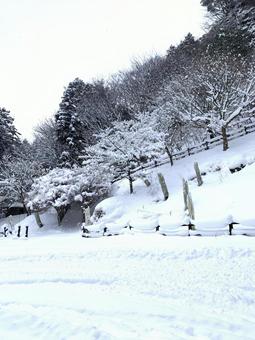 雪 雪 樹氷,山,雪の写真素材