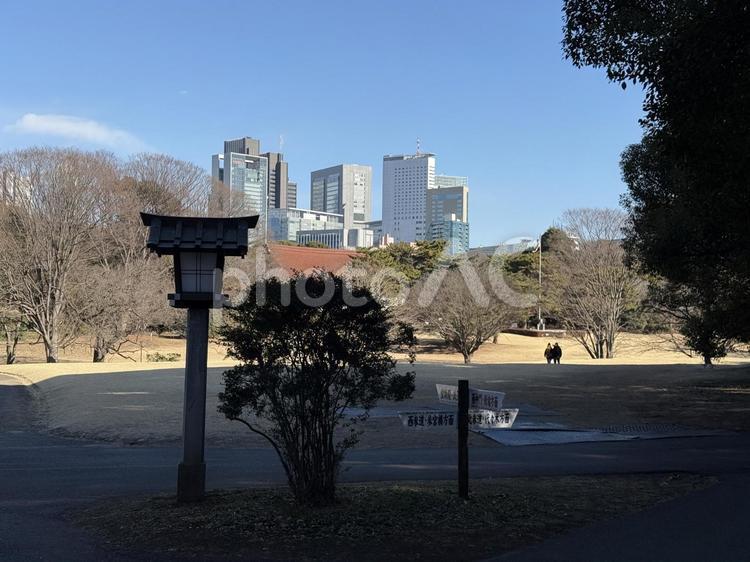 明治神宮　宝物殿前の原っぱ 宝物殿,原っぱ,草原の写真素材
