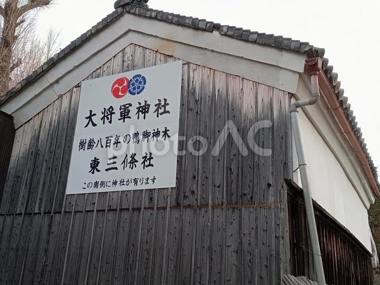 京都　大将軍神社 京都,大将軍神社,参拝の写真素材