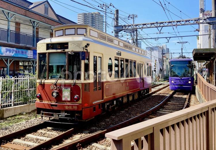 都電 都電,さくらトラム,都電荒川線の写真素材