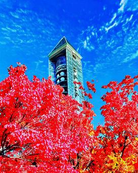 紅葉にそびえる東山スカイタワー 紅葉にそびえる東山スカイタワーの写真