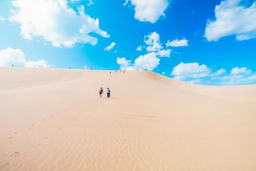 【鳥取】鳥取砂丘と青空 鳥取砂丘,鳥取,砂丘の写真素材