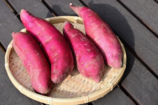 さつまいも さつまいも,サツマイモ,秋の写真素材