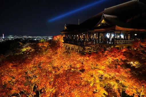 京都 京都の写真
