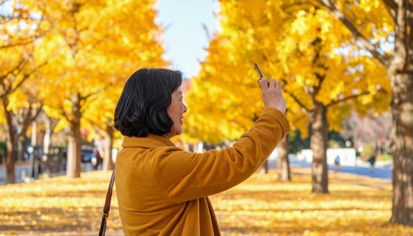 紅葉の写真を撮影するミドルエイジ女性 紅葉の写真を撮影するミドルエイジ女性の写真