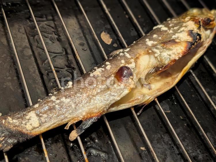 焼いたニジマス ニジマス,魚,焼き魚の写真素材