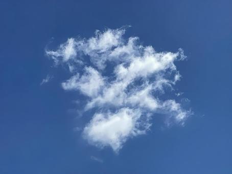 空の雲 空の雲の写真