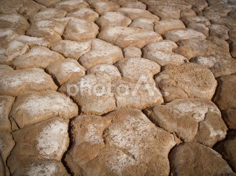 乾いた大地が描く自然の模様 乾燥地帯,ひび割れ,地面の写真素材