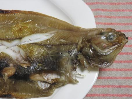 カレイの一夜干し カレイの一夜干し カレイ,一夜干し,魚の写真素材
