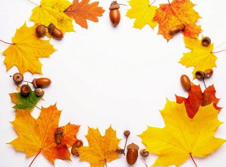 秋をイメージした背景素材の写真