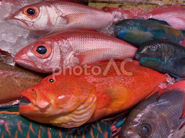 沖縄の市場の魚-ミーバイ 沖縄,okinawa,市場の写真素材