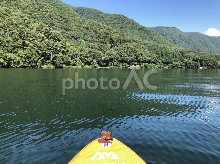 SUP 木崎湖　湖上から見る森 sup,木崎湖,湖上の写真素材