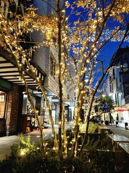 横浜元町イルミネーション クリスマス,イルミネーション,元町の写真素材