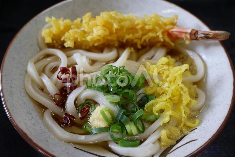 さぬきうどん店のえび天うどん 背景,うどん,えび天の写真素材