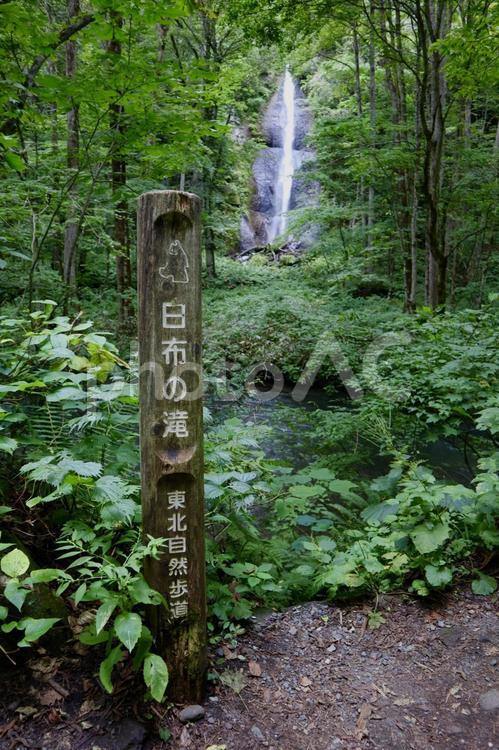 奥入瀬渓谷白布の滝 ウォーキング,自然遊歩道,山道の写真素材