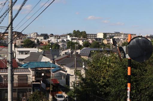 大田区 佐伯山緑地 大田区 佐伯山緑地の写真