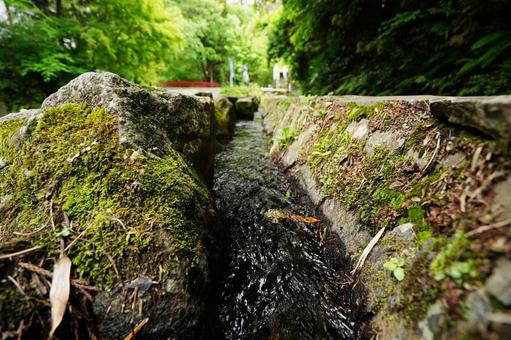熊本 白川水源の用水路1 熊本 白川水源の用水路1 白川水源,用水路,清流の写真素材
