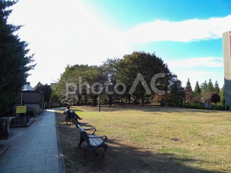 平成つつじ公園の芝生とベンチ 平成つつじ公園,公園,練馬区の写真素材