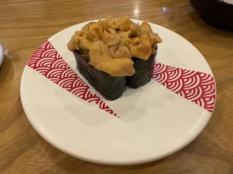 ウニ ウニ ウニ,寿司,お店の写真素材