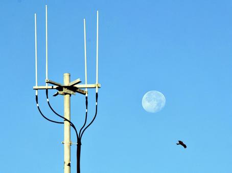 青空と日中の白い月 青空と日中の白い月 月,moon,白いの写真素材