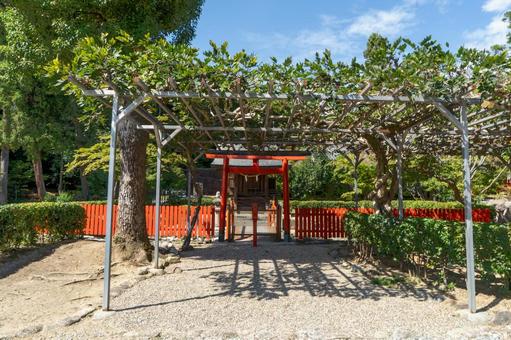 Nara Tatsuta Taisha Shrine Shimoteru Shrine, JPG