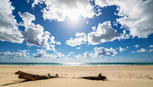 海と砂浜と流木と青い空 海と砂浜と流木と青い空の写真